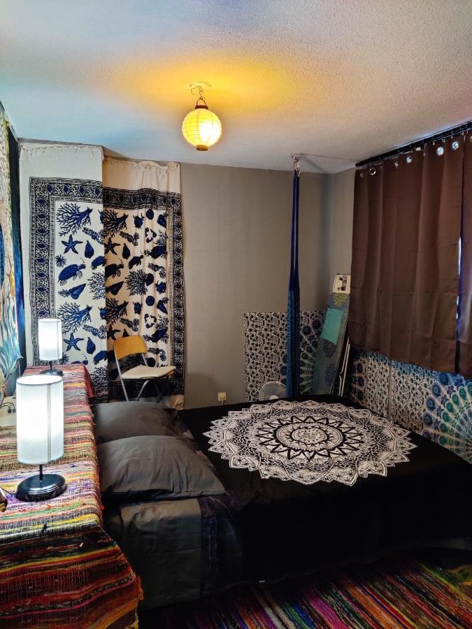 شقة Chambre Mexicaine غاب المظهر الخارجي الصورة